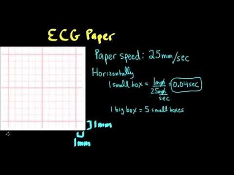 Schneid Guide to ECG Paper