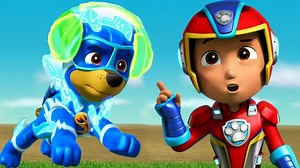 26K views · 495 reactions | PAW PATROL Full Episodes ✭ CHASE & SKYE TRANSFORMING Turn into the ball ✭ Pups Save Cartoons For Kids | Funny Kids | Facebook