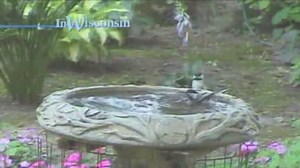 In Wisconsin:Bird Bath