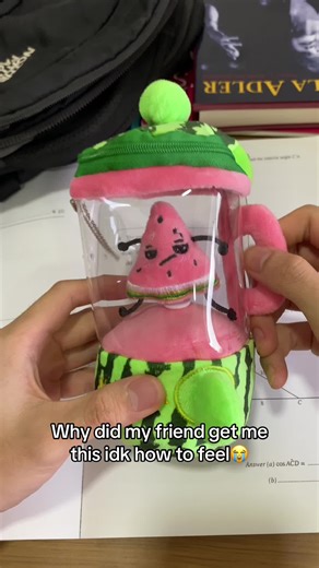 Hilarious School Prank with a Toy Backpack