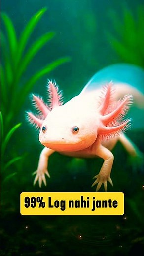 Strangest Animals You Don’t Know Existed 😱 | Rare Animal Facts in Hindi #shorts #facts #animal