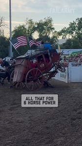 45K views · 313 reactions | Animals can fail too! 﫣 | FailArmy International | Facebook