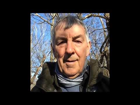 Finding Lesser Spotted Woodpeckers