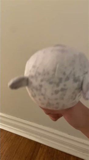 My seal is [TITLE CARD] #helpmemakethismakesense #roblox #memes