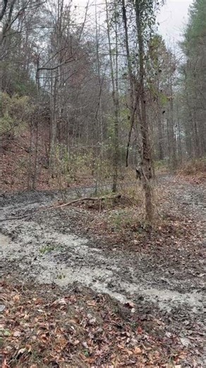 So cool #fourwheeling