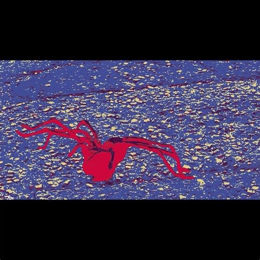 spider stickers + animations student project