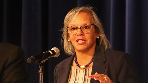 Who is Robin Kelly? What to know about Senate candidate in Illinois