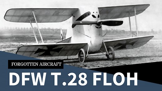The DFW T.28 Floh; 1915’s Starfighter (I’m serious…stop laughing…) - Forgotten Aircraft - Military Matters