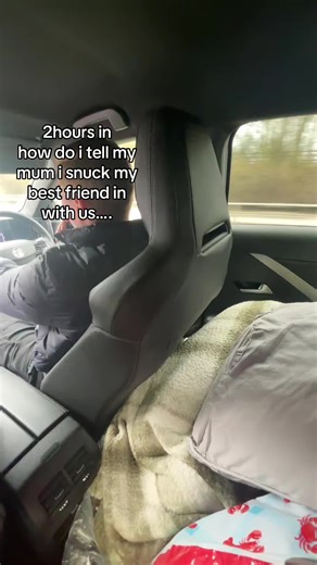 Sneaking My Best Friend Into the Car: A Secret Adventure