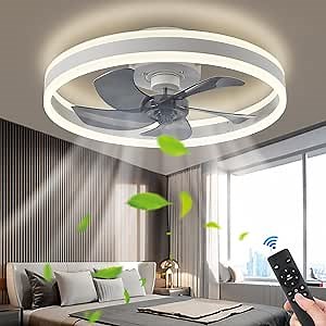 Modern Ceiling Fan with Light,Mute LED Dimmable Ceiling Fans with Remote Control,6 Speeds Reversible 60W Contemporary Ceiling Fan for Bedroom,Study Room,Dining Room,etc.(19.7" White)