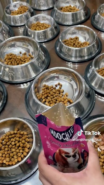 Trying out Moochie Wet Dog Food Review