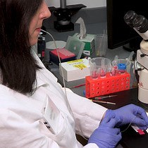 Video: Using Graphene Liquid Cell Transmission Electron Microscopy to Study in Situ Nanocrystal Etching