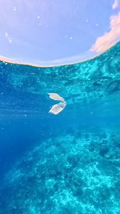 25K views · 409 reactions | Trash in a bubblering ️ #spin #vortex #magic #trashpickup #oceanworld | oceangalz | Facebook