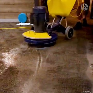 14K views · 50 reactions | Deep Cleaning a FILTHY Carpet | Clean That Up | Facebook