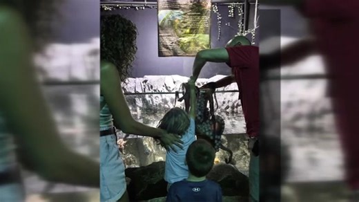 Octopus at San Antonio Aquarium wraps tentacles around 6-year-old boy’s arm, causing suction bruises - WSVN 7News | Miami News, Weather, Sports | Fort Lauderdale