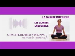 INNER SMILE – ENDOCRINE GLANDS