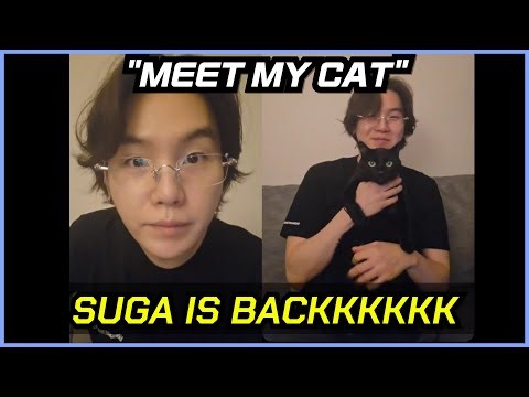 SUGA Introduces His Cat Tang in a Calm Weverse Live (Full Translation & Reaction)