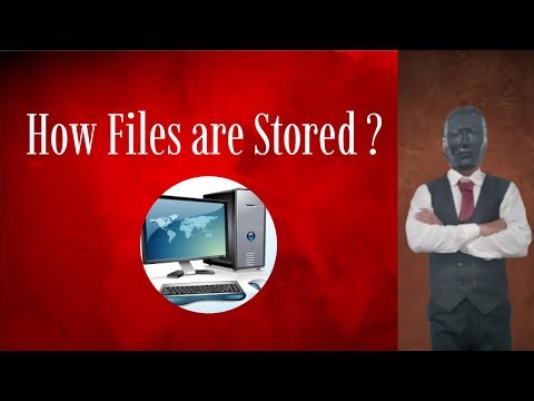 What is a File System (How Your Computer System Stores Data - Exlained Simply) | Technology Mask Man