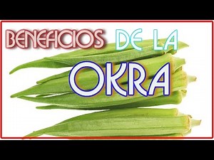 Beneficios De La Okra -La Okra o Quibombó es una Medicina Natural Para La Diabetes