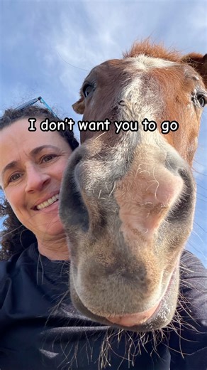 The best hugs from the best pony #horse #equestrian #pony #horsegirl #shorts #horseriding #hug