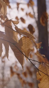 Give yourself peace of mind and let Roto-Rooter handle all your plumbing woes. 🧘😌 | Roto-Rooter