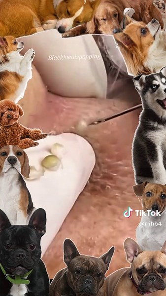 Cyst Popping and Dandruff ASMR: Satisfying Removal Clips