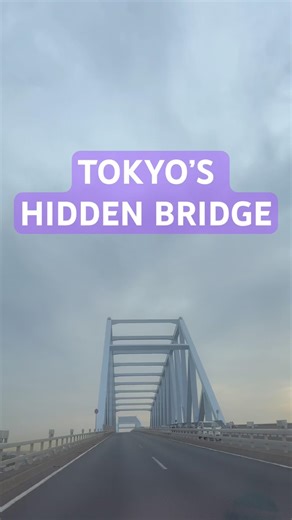 Hidden Spot in Tokyo? Driving Through Wakasu Gate Bridge 4K