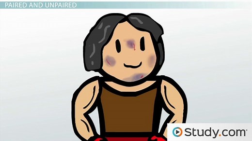 Bones of the Face Anatomy | Names, Functions & Location