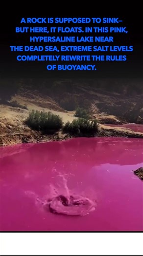 Rocks Don’t Sink Here—Here’s Why