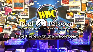 12 reactions | We are having a giveaway at Reef-A-Palooza Texas Oct 7 - 8! And to help, all apparel is 30% off during the month of September. | World Wide Corals, Inc. | Facebook