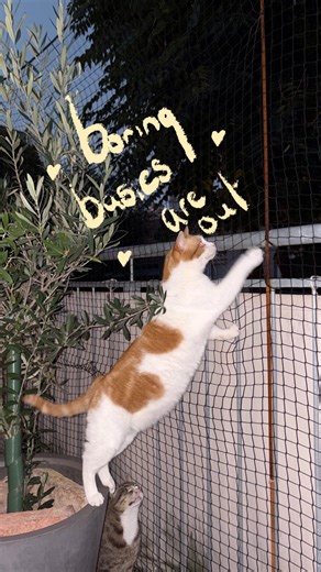 chloe willis on Instagram: "✂️Basic tank, but make it better. This top was fine, I just never reached for it. Adding a zip gives it a bit of personality Save this for the tops you keep ignoring🤍 This is make it better, where we take things from our wardrobe, and well, make it better"