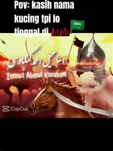 pov:kasih nama kucing tpi lo tinggal di arab Saudi🇸🇦