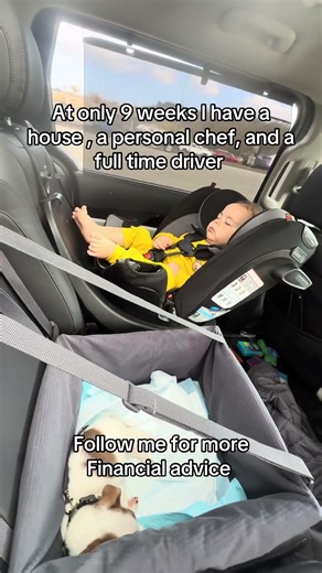 Living my best life while my assistant (human) does all the work