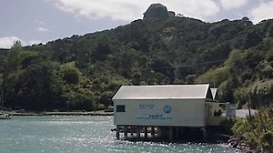 Watch The Sounds Season 1 Episode 4 - Playing the Odds