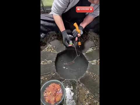 Tuna was heavy as piano 🎹 | 괴물물고기 | 巨大魚