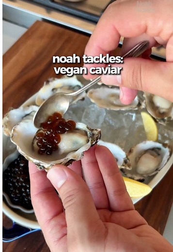@Noah Tanen is back in the lab and this time, he's tackling vegan caviar by the way of spherification with some kelp he brought back from his trip to Alaska #f52community