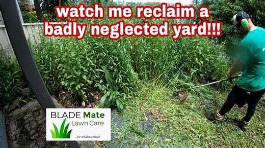 Trimming Head-High Weeds – Massive Yard Clean-Up in Australia