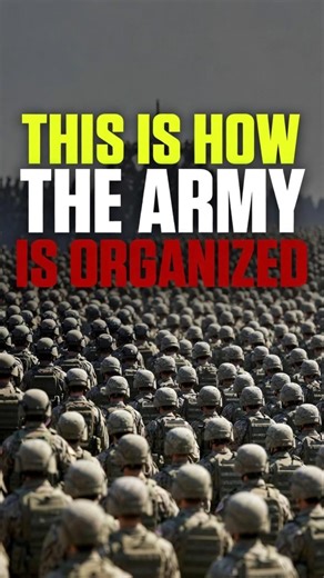 This Is How The Army Is Organized #youtubeshorts #modernwarfare #army #defense #militaryhistory #fyp