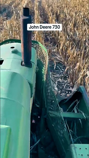 John Deere 730 with 237 mounted picker #foryou #fyp #johndeere #collection #vintagefarming #corn #harvest #45 #730 @John Deere.mp4 | Camp2