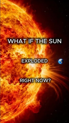 What If the Sun Exploded Right Now? #shorts #didyouknow #science #facts #viral #whatif #sciencefacts