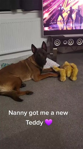 Chris Shacklock (@carper_chris)’s videos with Toy Story: You've Got A Friend In Me - Geek Music