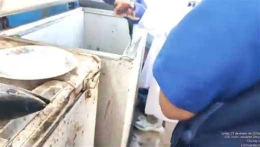 #ABCNorte #Chiclayo: Decomisan más de 100 kilos de pescado en mal estado en el mercado Modelo Más de 100 kilos de pescado en mal estado fueron decomisados en un almacén informal ubicado en el mercado Modelo de Chiclayo, informó la comuna local. Las especies marinas entre caballas saladas, pota, palabritas y bonito estaban almacenadas en lugares no apropiados, lo cual generó una contaminación que provocó alteración en el olor y sabor, señaló Pamela Mera, subgerente de Fiscalización de la Municipa