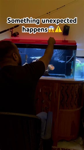 #shorts #arowana #monsterfish #aquariumlife #fishattack #trending #viralshorts #predatorfish #fish