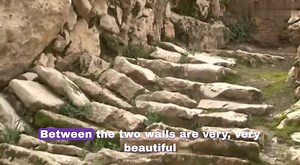 75K views · 5.2K reactions | We are now in Tel Hebron, where Abraham...