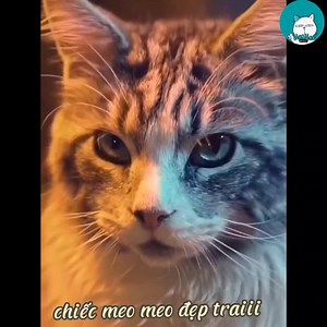 14K views · 1.2K reactions | Đừng cười bé, giúp bé đii Cre: douyin | Méo | Facebook