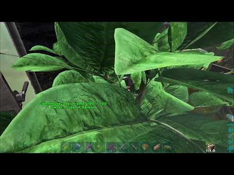 How to get CITRONAL super easily - Ark Ragnarok