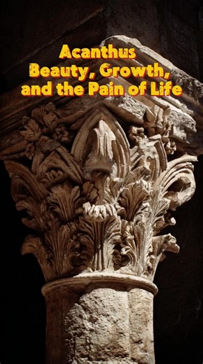 Acanthus — Beauty, Growth, and the Pain of Life #mythology #symbolism #psychology