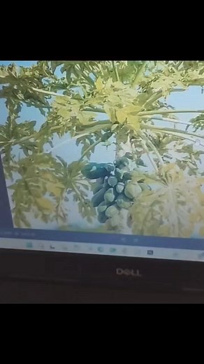 Quiz Contest 2082 | Bliss Mimosa Montessori School