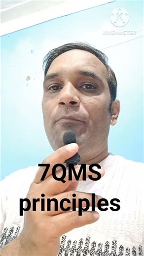 7 quality management system principles