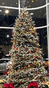 5.9K views · 136 reactions | We are Christmas ready! 虜 | Chase Chevrolet | Facebook